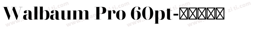 Walbaum Pro 60pt字体转换